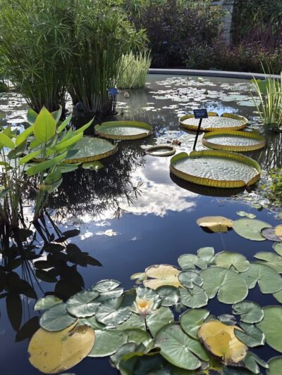 The Arboretum at Penn State - State College, PA