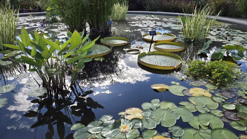 The Arboretum at Penn State - State College, PA