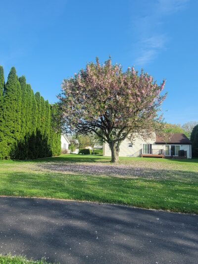 Autumnwood Park - State College, PA