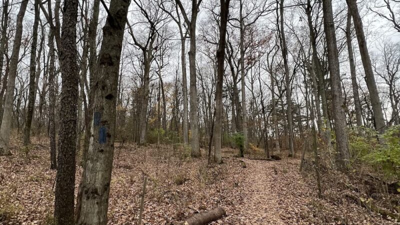 Bellefonte RailTrail Start - State College, PA