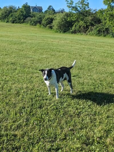 Dalevue Park - State College, PA