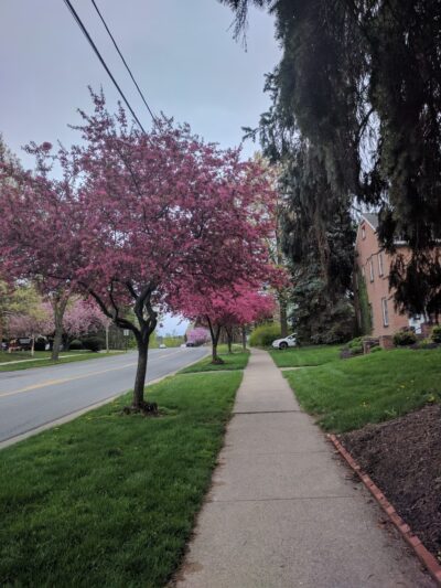 East Fairmount Park - State College, PA