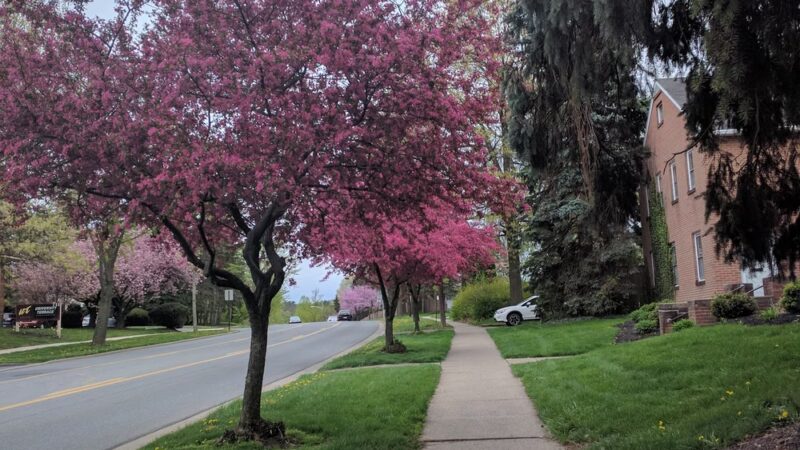East Fairmount Park - State College, PA