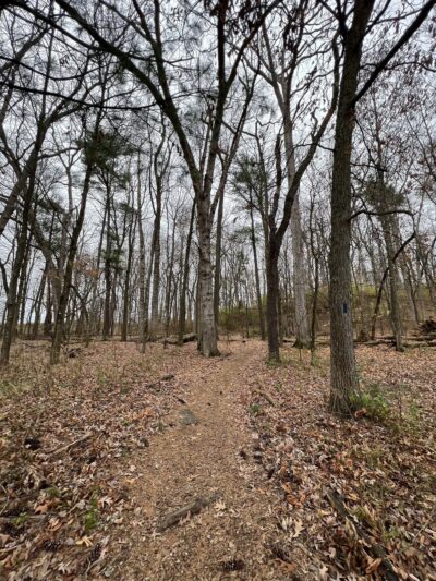 Gerhold Wildflower Trail - State College, PA
