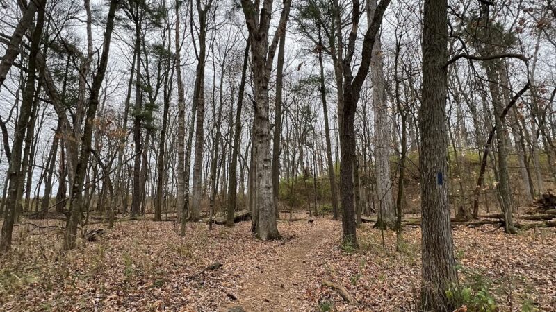 Gerhold Wildflower Trail - State College, PA