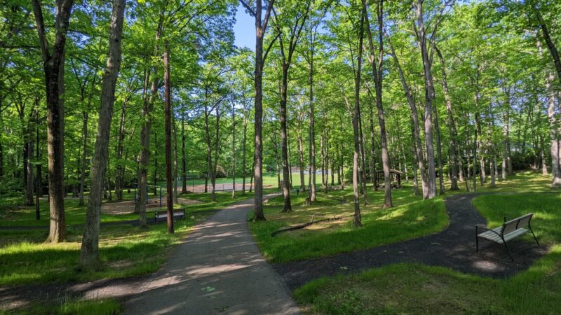 Green Hollow Park - State College, PA