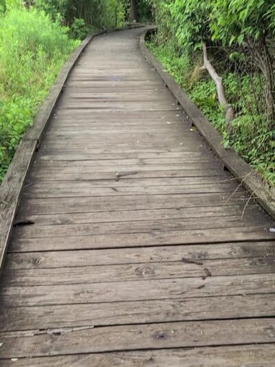 Millbrook Marsh Nature Center - State College, PA