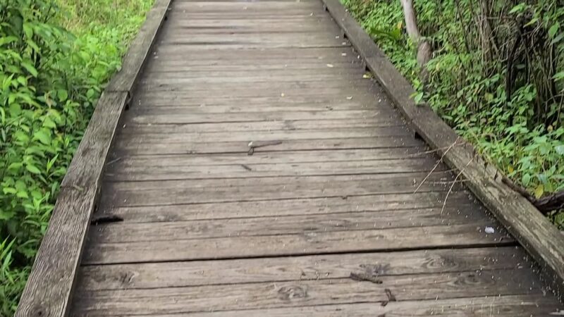 Millbrook Marsh Nature Center - State College, PA