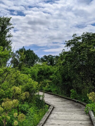 Millbrook Marsh Nature Center - State College, PA