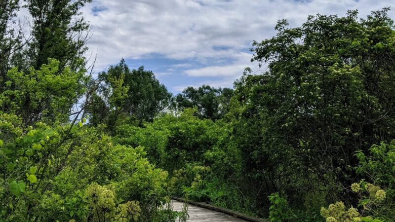 Millbrook Marsh Nature Center - State College, PA