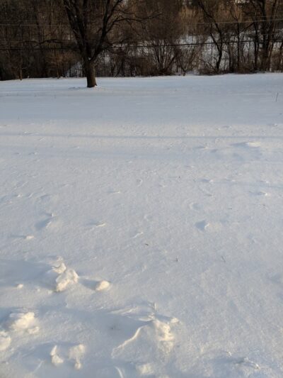 Overlook Heights Park - State College, PA