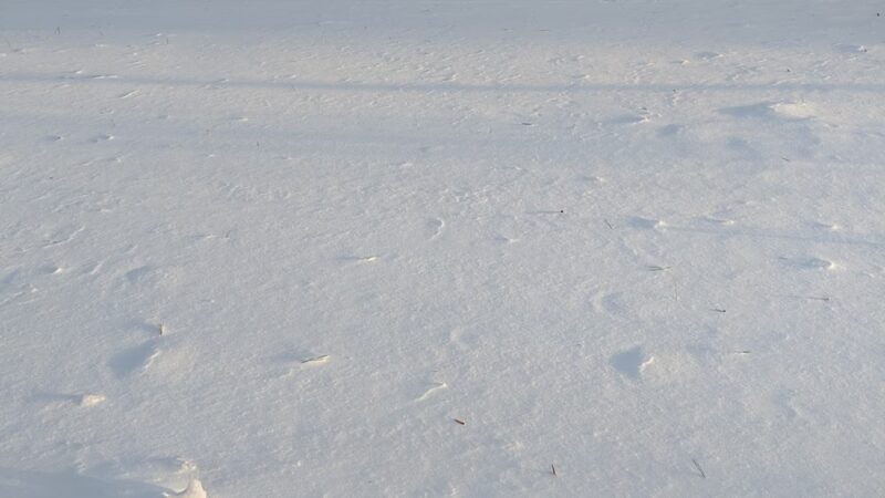 Overlook Heights Park - State College, PA