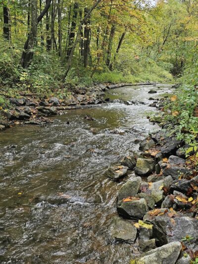 Slab Cabin Park - State College, PA