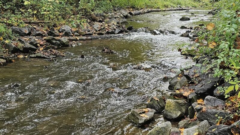 Slab Cabin Park - State College, PA