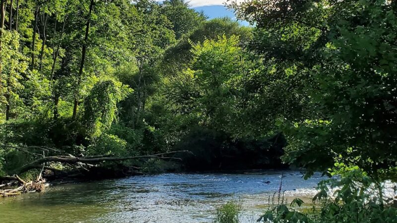 Spring Creek Park - State College, PA