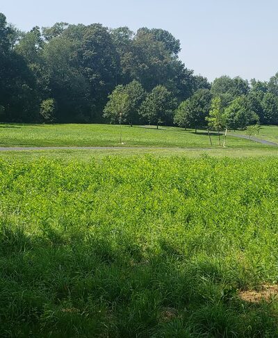 Tom Tudek Memorial Park - State College, PA