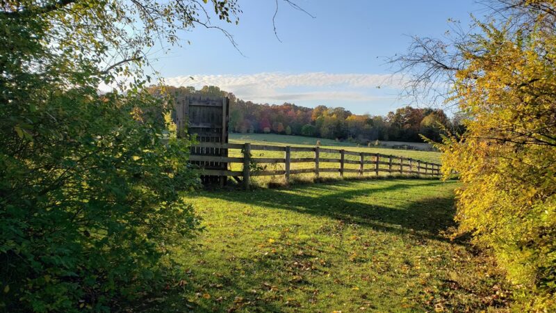 Tom Tudek Memorial Park - State College, PA