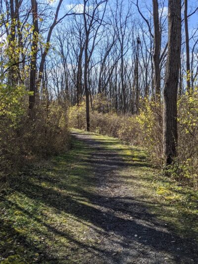 Walnut Springs Park - State College, PA