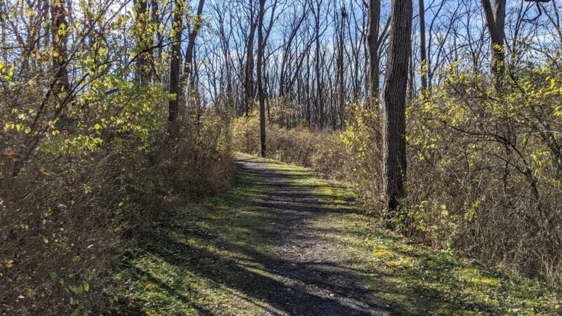 Walnut Springs Park - State College, PA