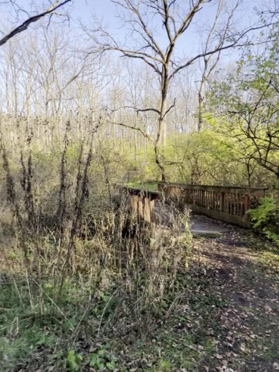 Walnut Springs Park - State College, PA