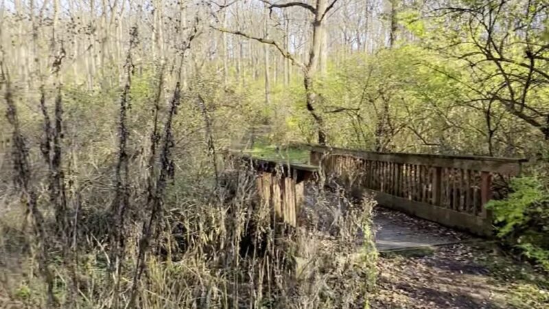 Walnut Springs Park - State College, PA