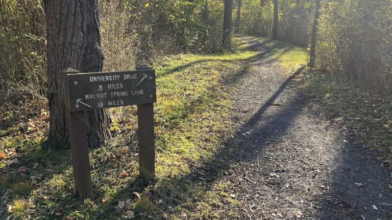 Walnut Springs Park - State College, PA