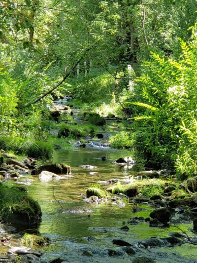 Walnut Springs Park - State College, PA