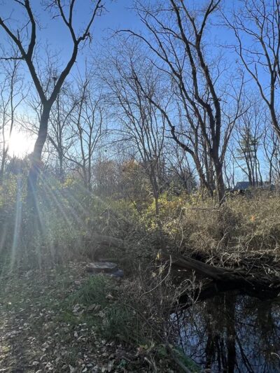 Walnut Springs Park - State College, PA
