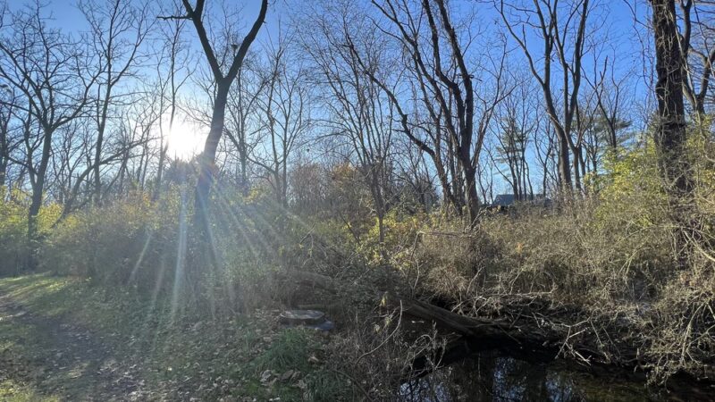 Walnut Springs Park - State College, PA