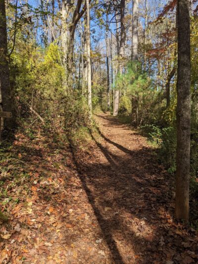 Grassy Creek Trail - State Rd, NC