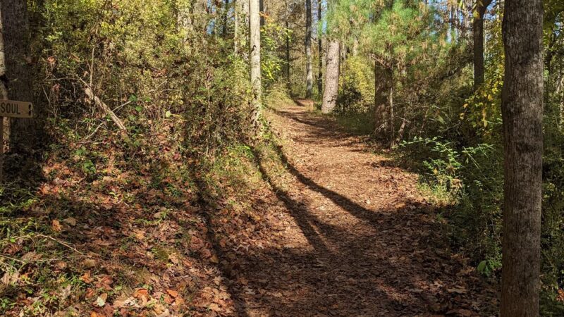 Grassy Creek Trail - State Rd, NC