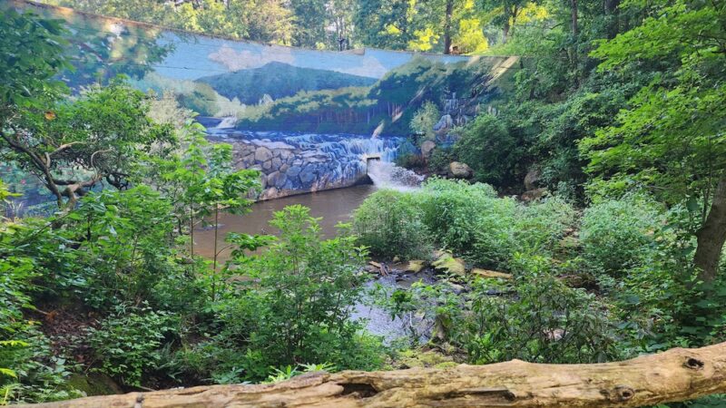 Grassy Creek Trail - State Rd, NC