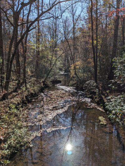 Grassy Creek Trail - State Rd, NC