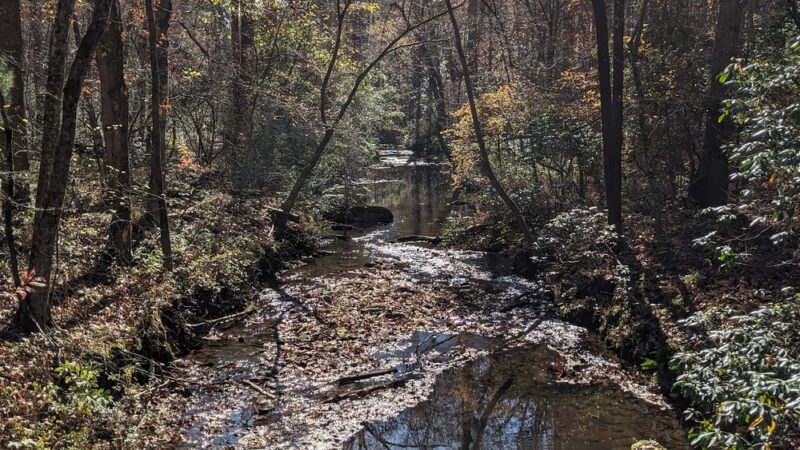 Grassy Creek Trail - State Rd, NC