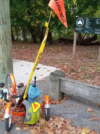 Allison Pond - Staten Island, NY