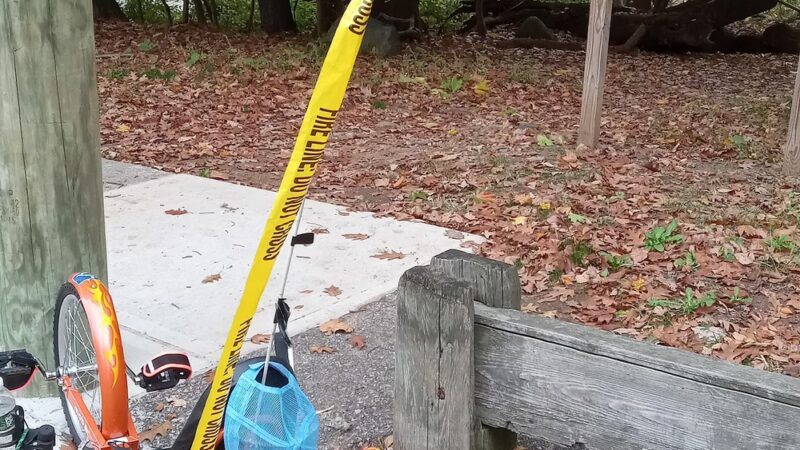 Allison Pond - Staten Island, NY