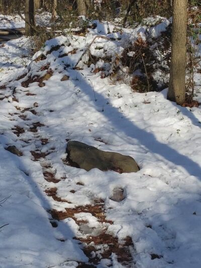 Amundsen Trail - Staten Island, NY