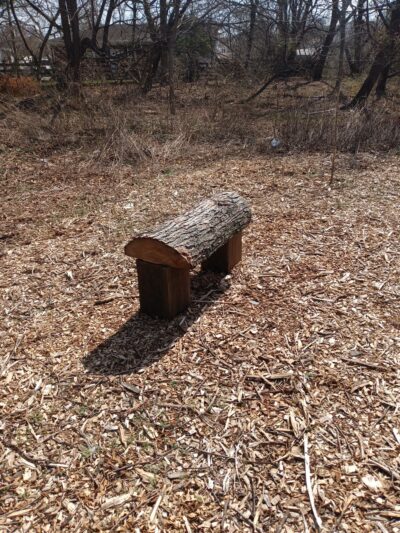 Amundsen Trail - Staten Island, NY