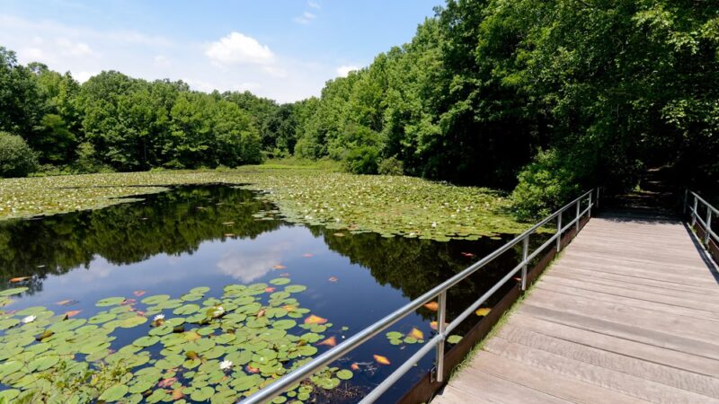 Blue Heron Park - Staten Island, NY