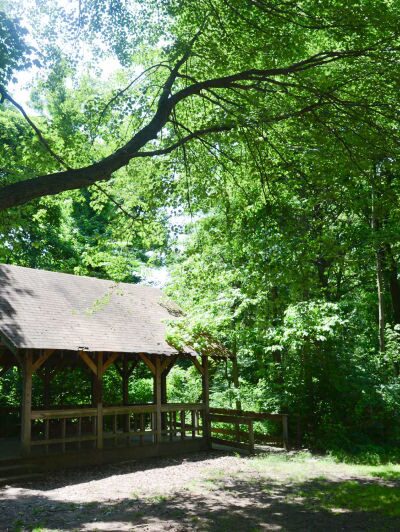 Blue Heron Park - Staten Island, NY