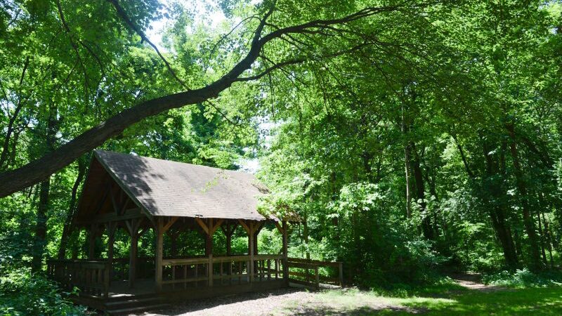 Blue Heron Park - Staten Island, NY