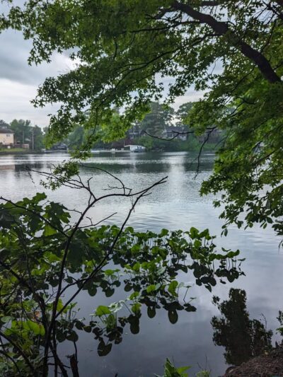 Brady's Pond Park - Staten Island, NY