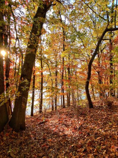 Brady's Pond Park - Staten Island, NY