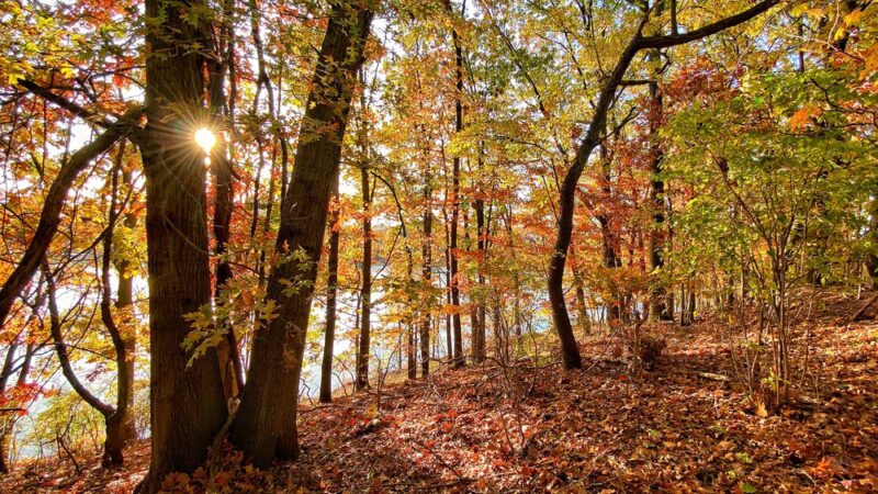 Brady's Pond Park - Staten Island, NY