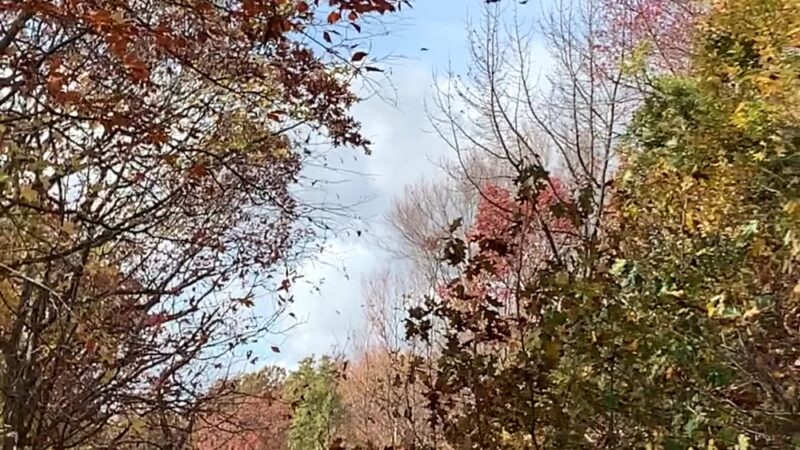 Clay Pit Ponds State Park - Staten Island, NY