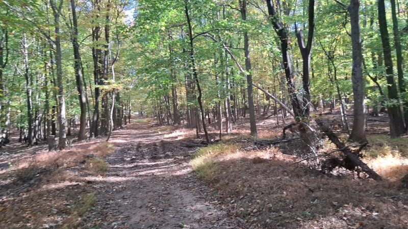 Clay Pit Ponds State Park - Staten Island, NY