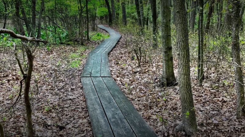 Clay Pit Ponds State Park - Staten Island, NY