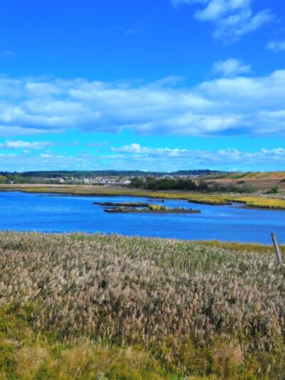 Freshkills North Park - Staten Island, NY