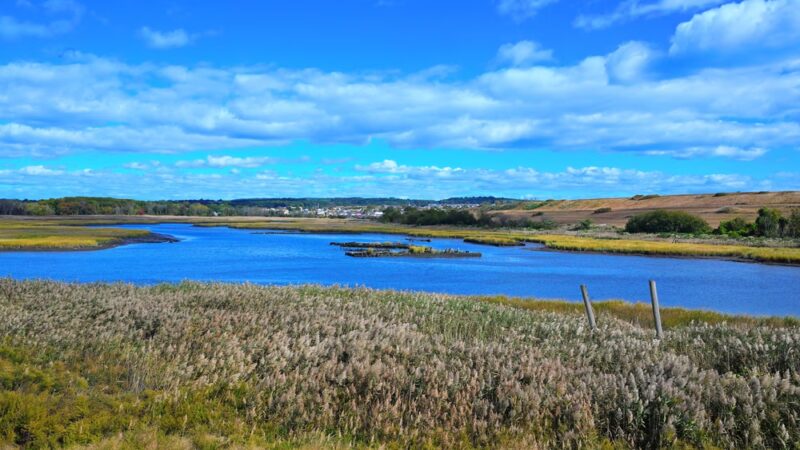 Freshkills North Park - Staten Island, NY