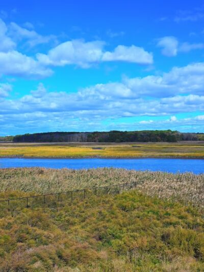 Freshkills Park - Staten Island, NY